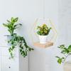 Indoor Plant Hanger Hanging Plant Pot Hanger With Wood Base Boho Macrame Hang Plant Holder For Indoor Plants Planter For Wall