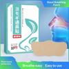 Mugwort Heat Therapy Nasal Patches 10 Pcs/Box Gentle Congestion Relief Pads for Rhinitis Cold Better Sleep All Season Use