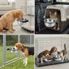 Köpek – Köpek Besleme ve Sulama Malzemeleri