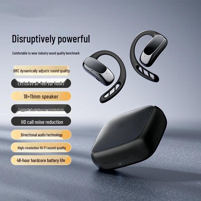 

Sayrelances OWS Sound 20 Ear-hook Bluetooth Earbuds