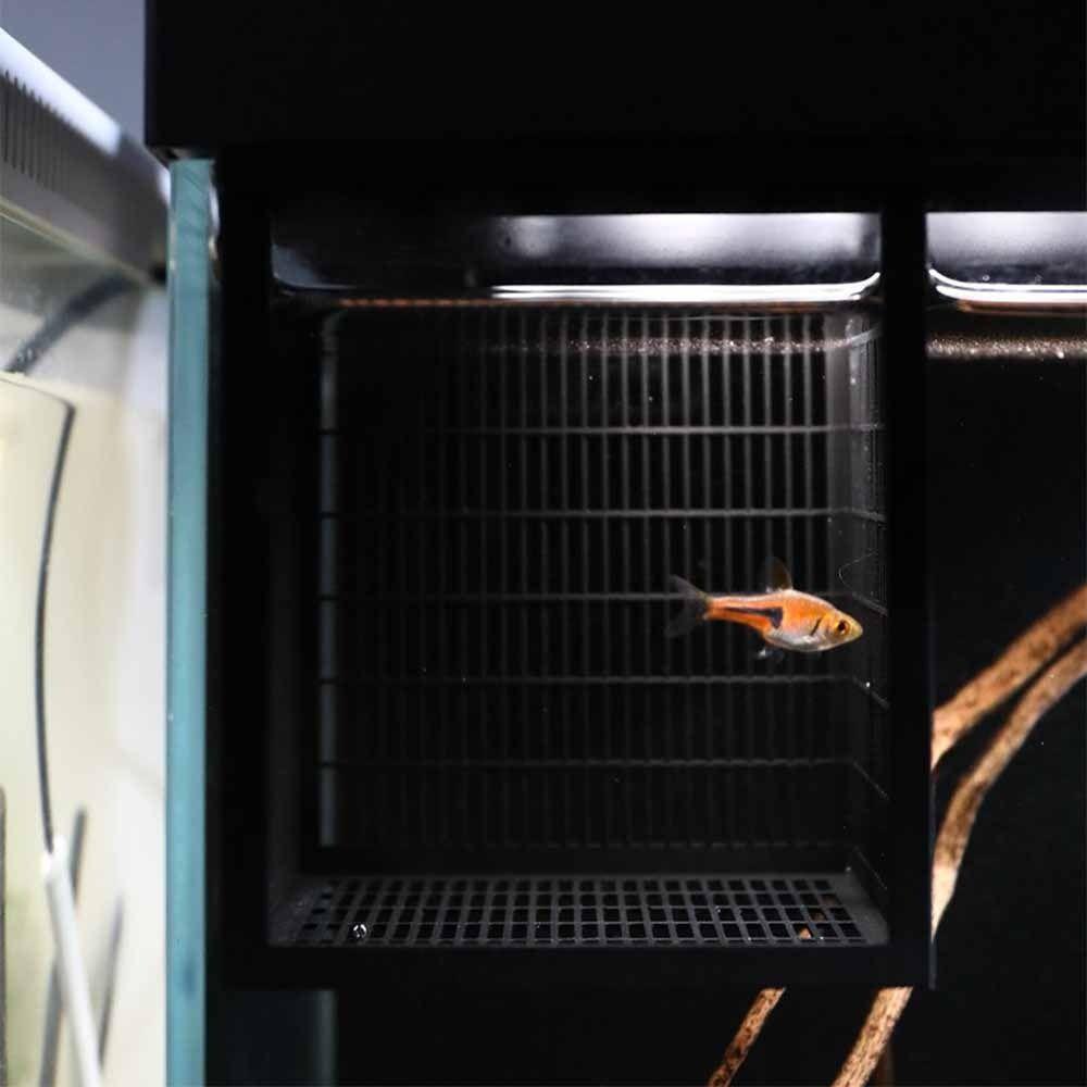 Hangable Aquarium Breeder Box Durable Fish Breeding Box Guppy Breeding Box  Shrimp Breeding