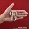 DIG DIGACTION the Hanayama approximately 80mm PVC painted finished (DIG) "Baki Grappler" Kaoru, tall, non-scale, figure.