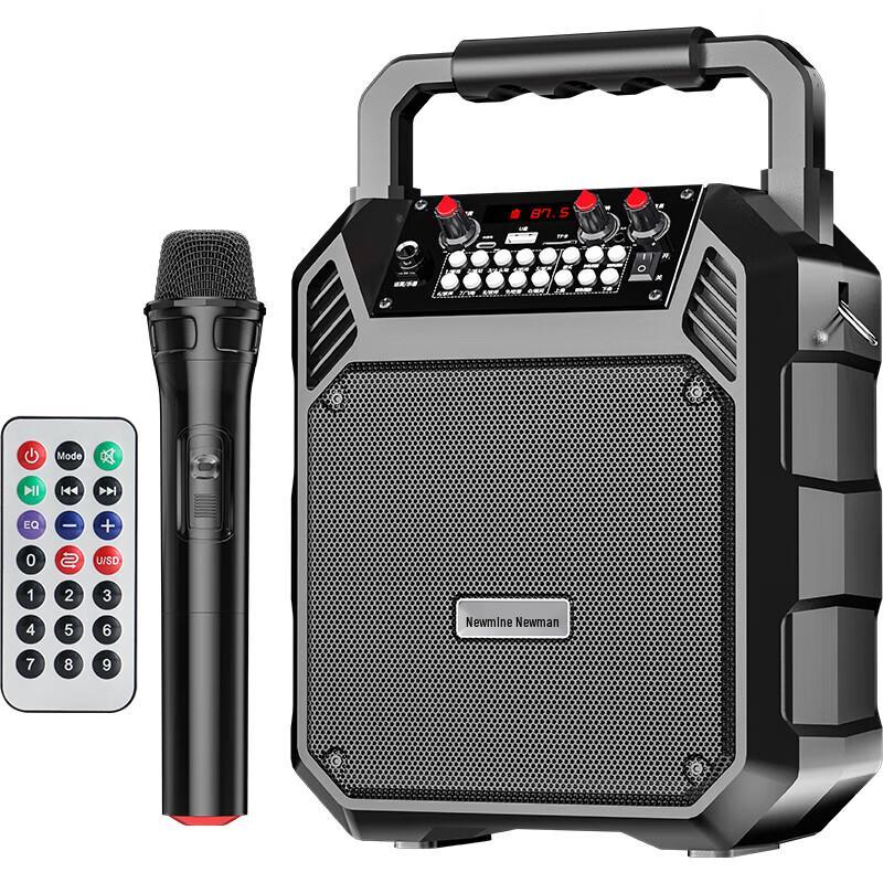 Newman K503 Portable Bluetooth Karaoke Speaker CN plug (adapter included)
