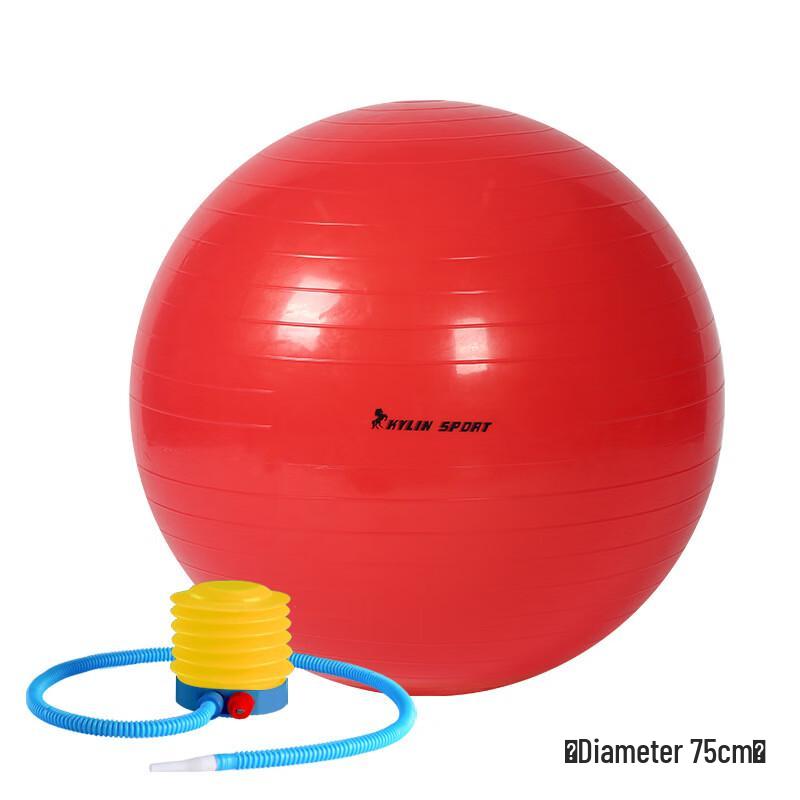 

Qijun Fitness Yoga Ball