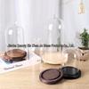 Heart-Shaped Glass Dome Display Cover for Miniatures