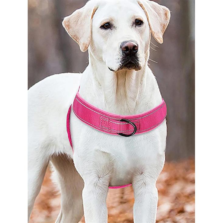 Pet Dog Harness Leash Set, Breathable Design with Night Reflective Strips, Convenient Dog Vest Harness, 1 Set