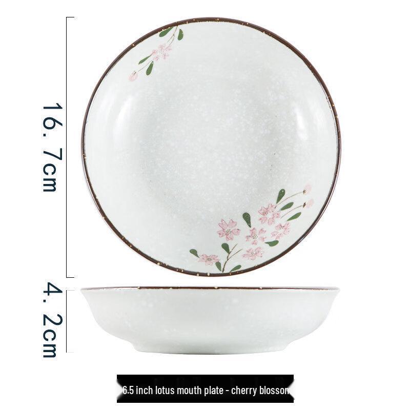 

ZISIZ Ceramic Cherry Blossom Dinner Plate Set (2-Pack)