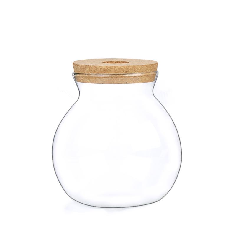 Mini Glass Flower Pot for Indoor Plants - Hydroponic Ornament with Moss Landscape