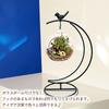 Moin Moin Hanging Stand, Iron, Moon Shape, Bird, Small Bird, Black Iron, Terrarium Hanger, Hanging Hook, Interior Decor  Height 35cm, Base Width 15cm