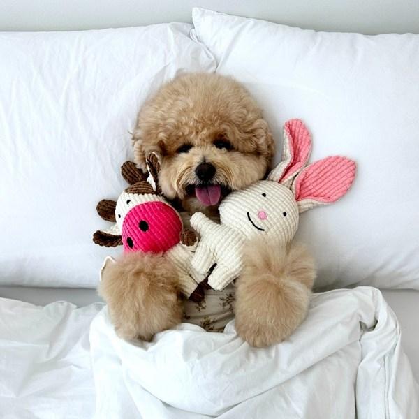 Dog Puppy Tug Play Character Squeak Set, 1 Pack