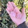Natural Mineral Crystal Rose Quartz Cat Claw Carving Creative Ornament Special Gift Jewelry Decoration