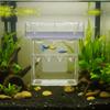 Detachable Fish Breeding Isolation Box Floating Guppy Breeder Box Fish Tank Divider  Aquarium