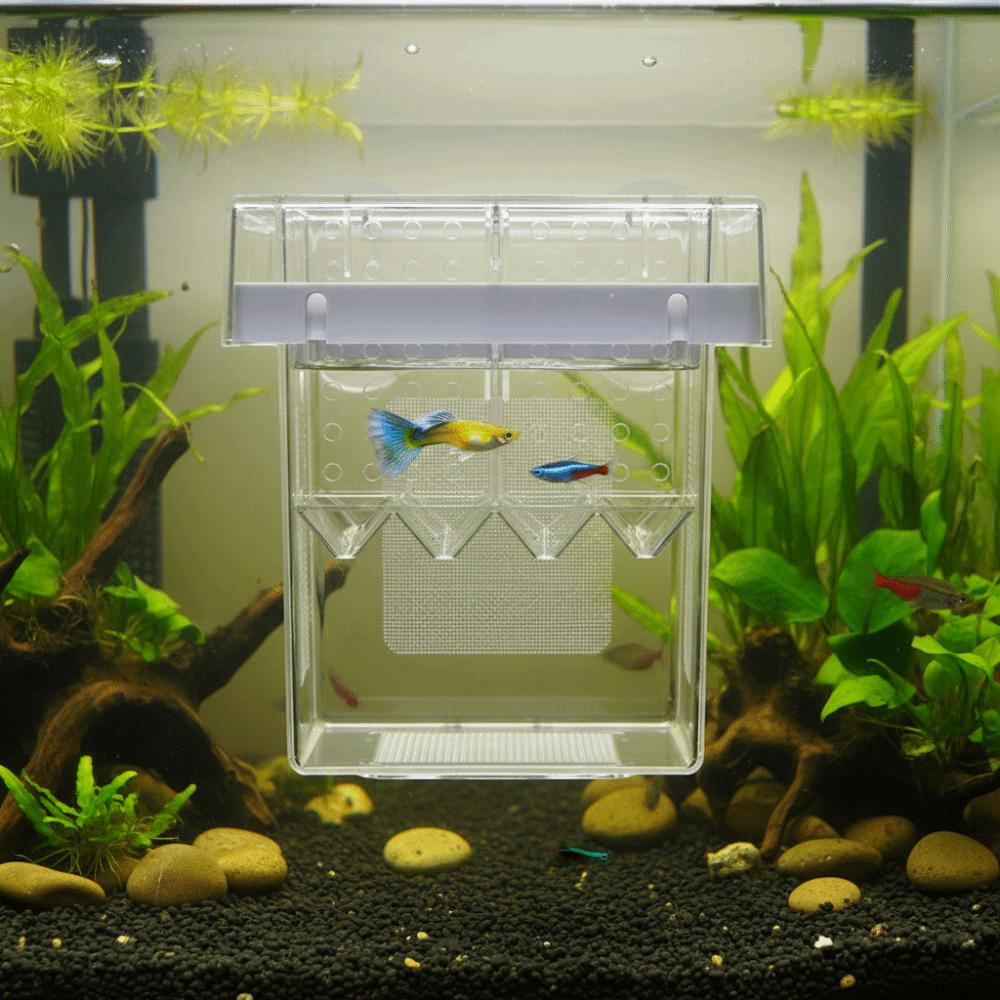 Detachable Fish Breeding Isolation Box Floating Guppy Breeder Box Fish Tank Divider Aquarium