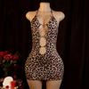 Night Concubine Sex Underwear Leopard Print Chest Wrap Hip Skirt Neck Suspender Dress Wholesale from European and American Manufacturers