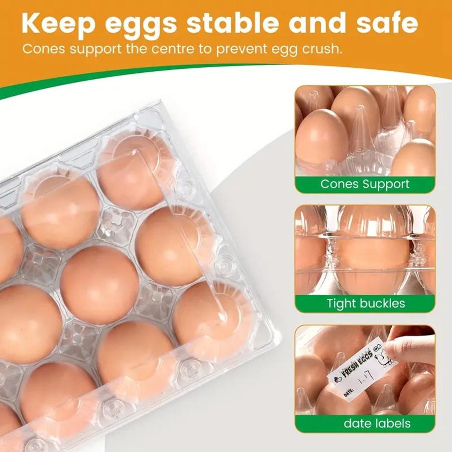 Transparent Shatter-Resistant Egg Cartons Reusable 12 Grids Egg Cartons for Chicken Eggs Durable Shockproof Egg Organizer Box