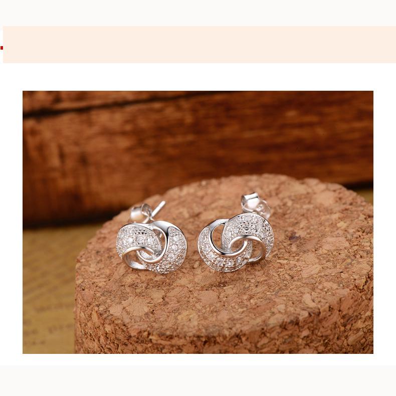 

Два круга модные циркониевые сверкающие классические серьги-гвоздики для женщин ослепительные женские элегантные аксессуары вневременные ювелирные изделия белого золота