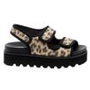 Rocket Dog Womens/Ladies Balmy Dexter Sandals
