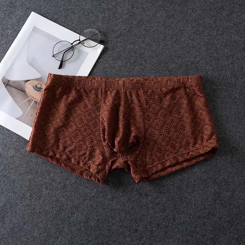 Men'S Underwear Ultra-Thin Lace See Through Lingerie Low-Rise Youth Boxers Sissy Pouch Panties Transparent Bikini Slip Homme