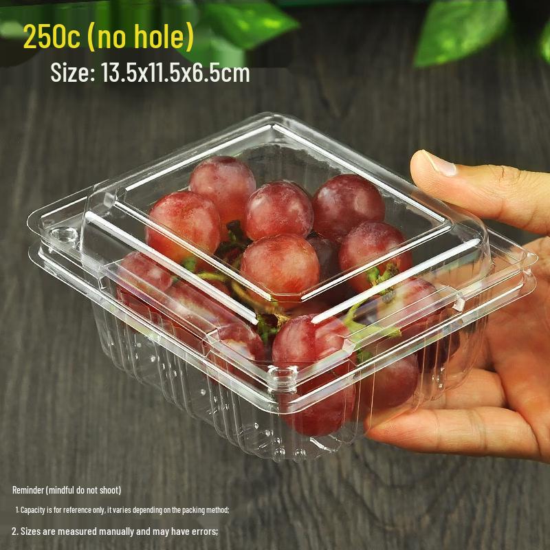 Hanton Disposable Round Fruit Container