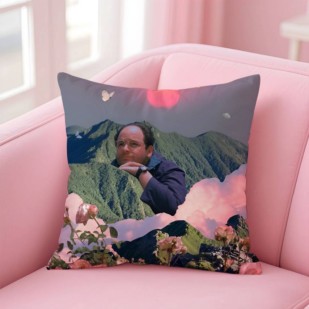 

Vantage Movie S-Seinfeld Наволочка Антипылевой клещ Наволочка Невидимая молния Шелковистый короткий плюш Наволочка для диванной подушки 16x16Inch