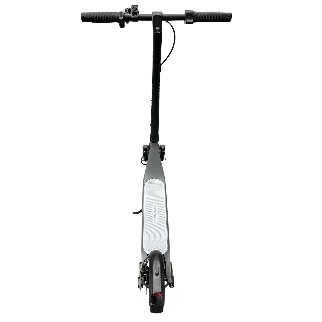 HIKERBOY CURTIS Doppelmotor Erwachsener Outdoor Faltbarer E-Scooter 36V10.4AH Akku 250*2W Motor 10-Zoll-Reifen Elektroroller