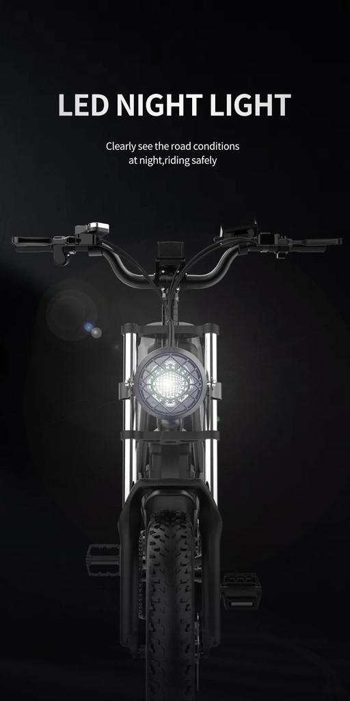 Ridstar Q20 Electric Bike 1000W Powerful Motor 48V20AH Oil Brake 20*4.0inch Fat Tire Ebike Mountain Snow Electric Bicycle