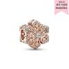 Festive Snowflake Charm 782378c01