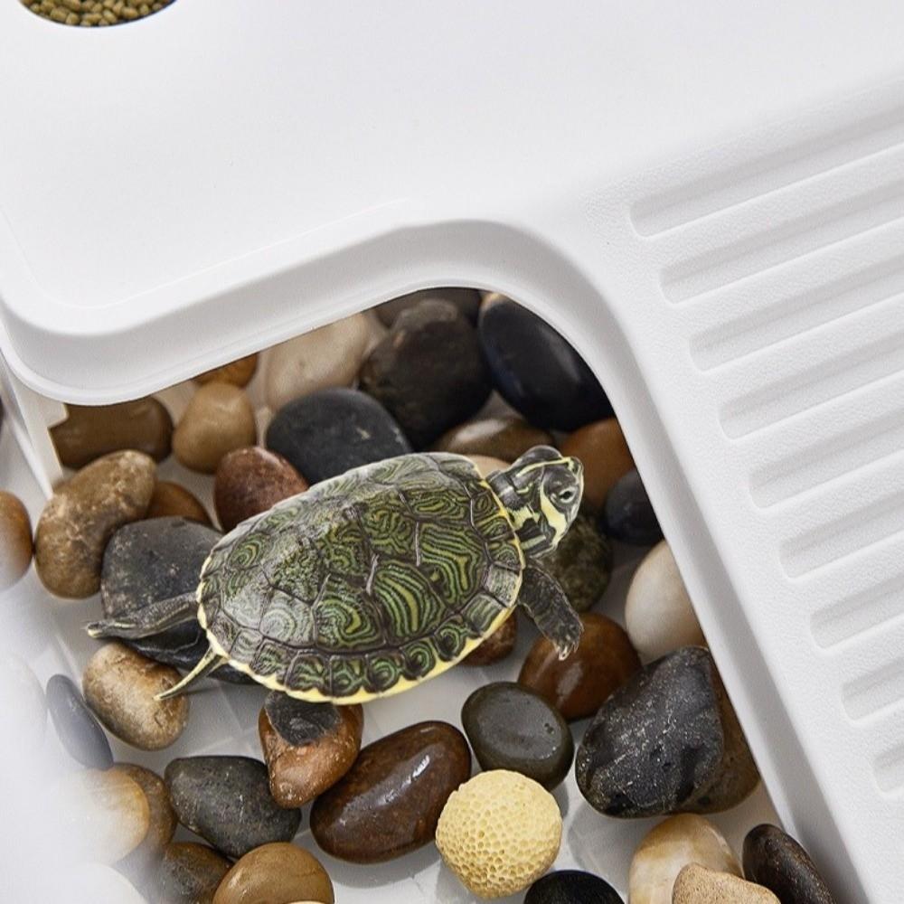 Stable Turtle Floating Platform Non-Slip Turtle Climbing Slope Reptile Ramp  Aquarium