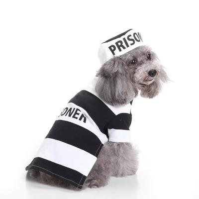 Robe d'Halloween Populaire pour Chien Costume Drôle Célébration de Vacances Velcro Haute Résistance Costume pour Animal de Compagnie Anti-Plis