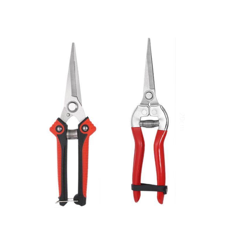 Stainless Steel Pruning Shears for Orchard and Garden