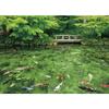 500 Piece Jigsaw Puzzle Dancing Color Monet's Pond (Gifu Prefecture) (38x53cm)