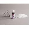 Kit : Love Modeling Clay