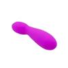 Pretty Love Mini Massager Arvin Purple Color