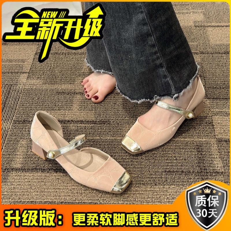 Niche Mary Jane Shoes New Spring and Summer with Skirts Thick Heels High Heels French Fairy Shoes Gentle Fashion Single Shoes