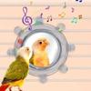 Wear-Resisting Bird Mirror Perch Colorful Ball Bird Flying Saucers  Bird Supplies