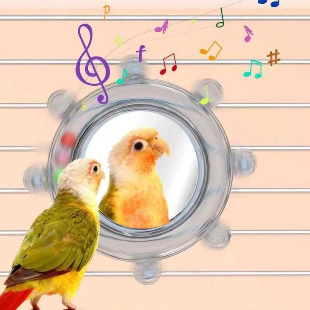 Wear-Resisting Bird Mirror Perch Colorful Ball Bird Flying Saucers Bird Supplies