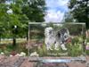 Tibetan Mastiff, Do khyi – Crystal with a picture of a dog, photo in glass | Art-Dog