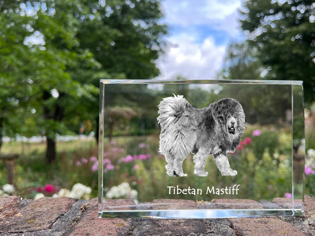 Tibetan Mastiff, Do khyi – Crystal with a picture of a dog, photo in glass | Art-Dog