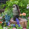 KADAX Bird Repeller Pigeons Starlings Birds Owl Moving Head For Garden