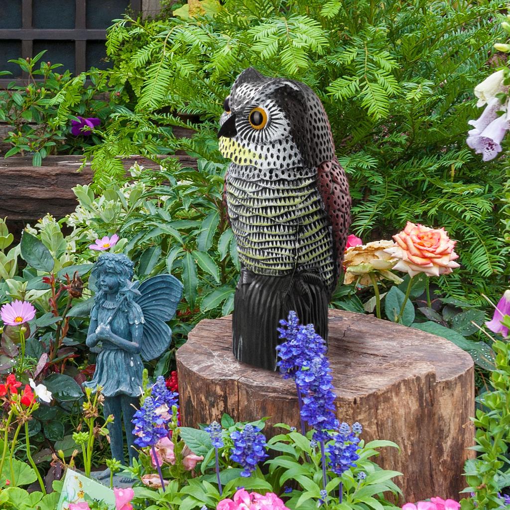 KADAX Vogelabwehr Tauben Stare Auf Vögel Eule Beweglicher Kopf Für Garten