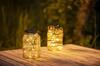 Takasho Solar Outdoor Fairy Mason Champagne Garden Gentle Stainless Light, Jar, Gold, Gold, Light, Waterproof, Sparkling, Light, Glass, Steel,