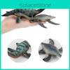 Thalassomedon Jurassic Marine Dinosaur Model Pvc Collection For Display And Education