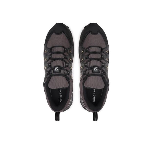 Ботинки треккинговые Salomon X Braze