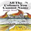 All The Colours You Cannot Name by Joad R Wren Paperback Book 9781781727201