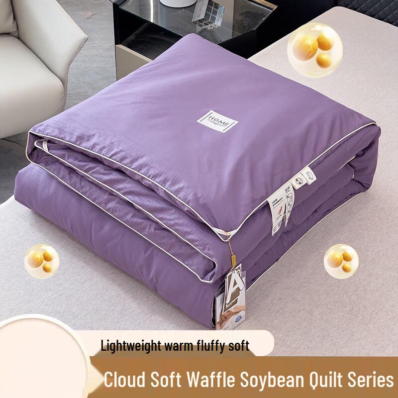 

Cloud Soft Waffle Soy Fiber Winter Quilt