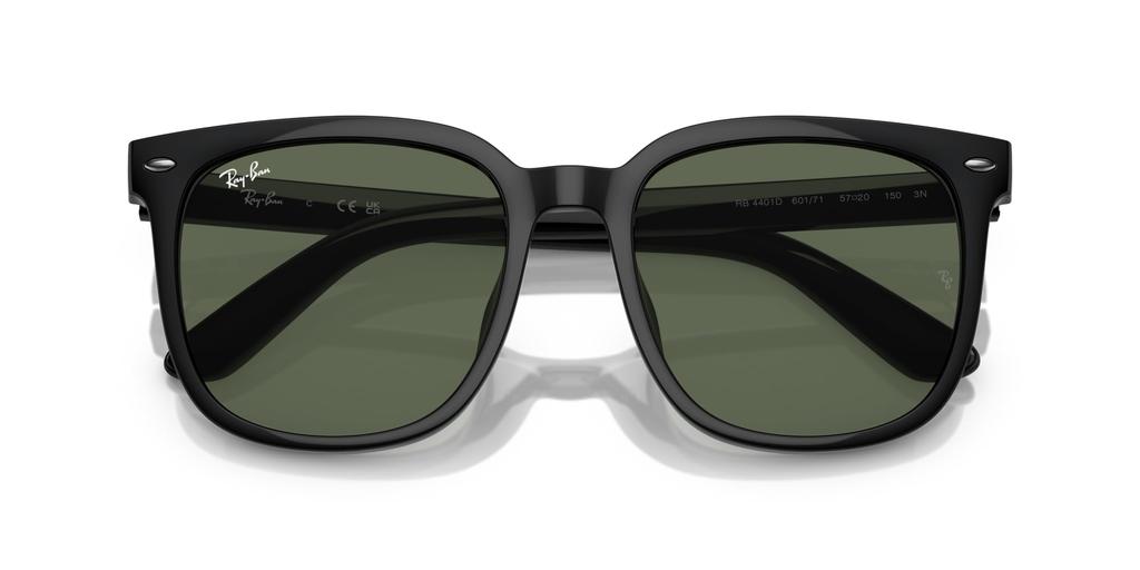 Sunglasses 0RB4401D BLACK 55 Ray-Ban
