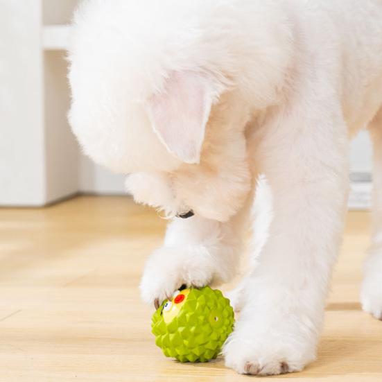 Latex Fruit Dog Chew Toy Squeaky Cartoon Melon Banana Dragon Fruit Durian Interactive Toy Small Medium Large Dogs Teething Cleaning Boredom Toy