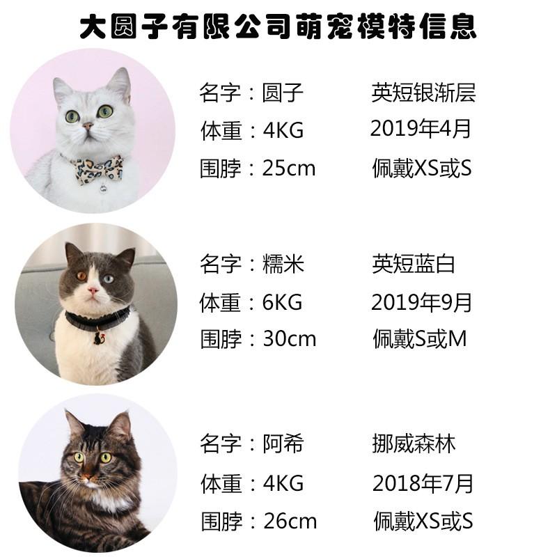 Solid Color Knitted Christmas Scarf Pets Dogs Cats Warm Fleece Winter Accessory Holiday Gift