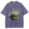 Watermelon Cat Silly Cat Meme T-Shirt Summer Sport Loose T Shirt Tops Shirt Is A Stylish Unisex Top for Both Men and Women