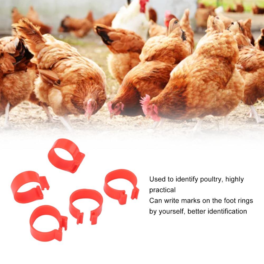 100Pcs Easy to Clean Plastic Poultry Feet Rings Reusable 20mm Chicken Leg Bands Red Durable Duck Leg Bands Breed Tracking
